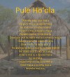 Pule Ho‘ōla kicks off Hawaiian language month